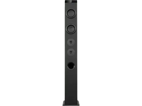Torre de sonido Avenzo AV-ST4001B Bluetooth 80W Control remoto Radio FM Negro