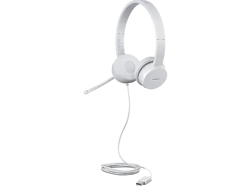 Auriculares Lenovo USB estéreo 110 De diadema Circumaural Micrófono integrado/brazo Gris nube