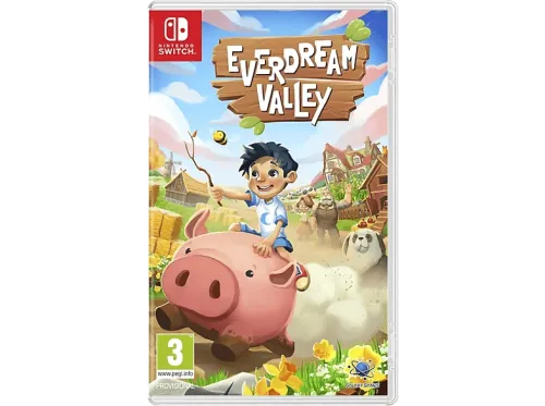 Nintendo Switch Everdream Valley