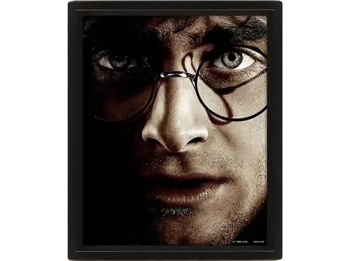 Póster 3D Sherwood Harry Potter Papel brillo