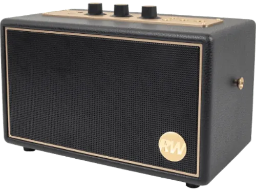 Altavoz bluetooth PEAQ PPA 550-RW Retro 60W Bluetooth 8h Autonomía Edición Robbie Williams True Wireless Negro