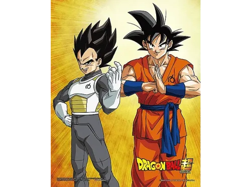 Póster 3D Sherwood Dragon Ball Goku & Vegeta Enmarcado Licencia oficial Dragon Ball